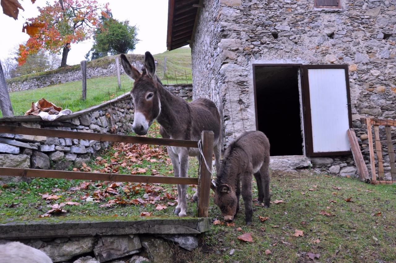 Agriturismo Barcola Grandola ed Uniti Dış mekan fotoğraf